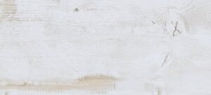 Porcelanato Eco Prata 20x1,22 (cod23675)
